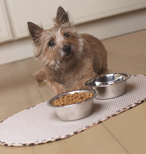 Envision Home Pets Cat and Dog Pet Food Bowls Mats.